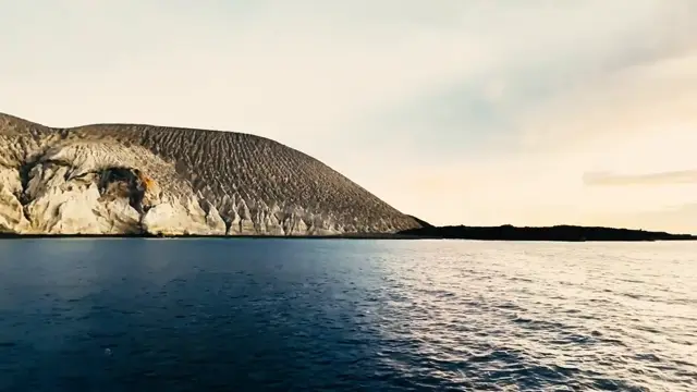 Diving in the Socorro Islands