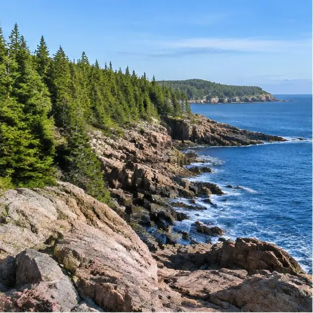 AI-generated illustration of Acadia coast