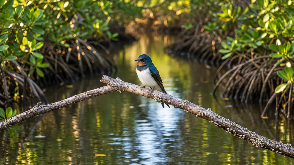 Mangrove Swallow in its natural habitat, AI illustration