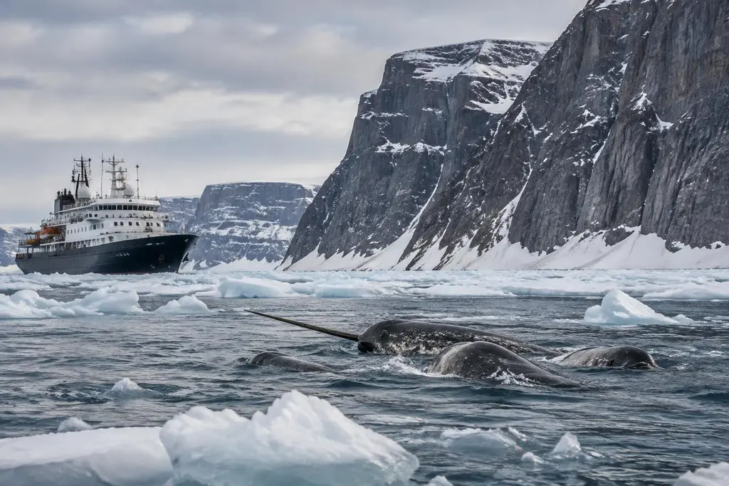 AI-generated illustration of Other Arctic expeditions