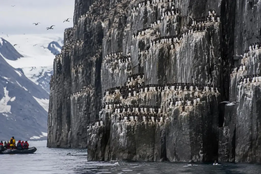 AI-generated illustration of Bird cliffs
