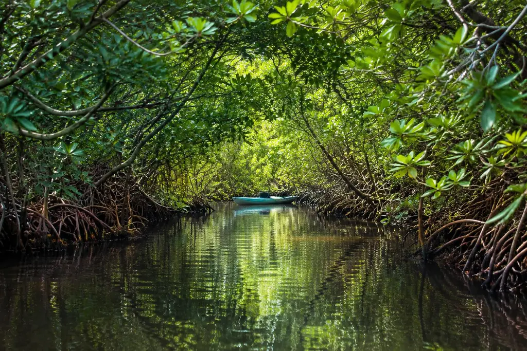 AI-generated illustration of Southwest Florida mangroves