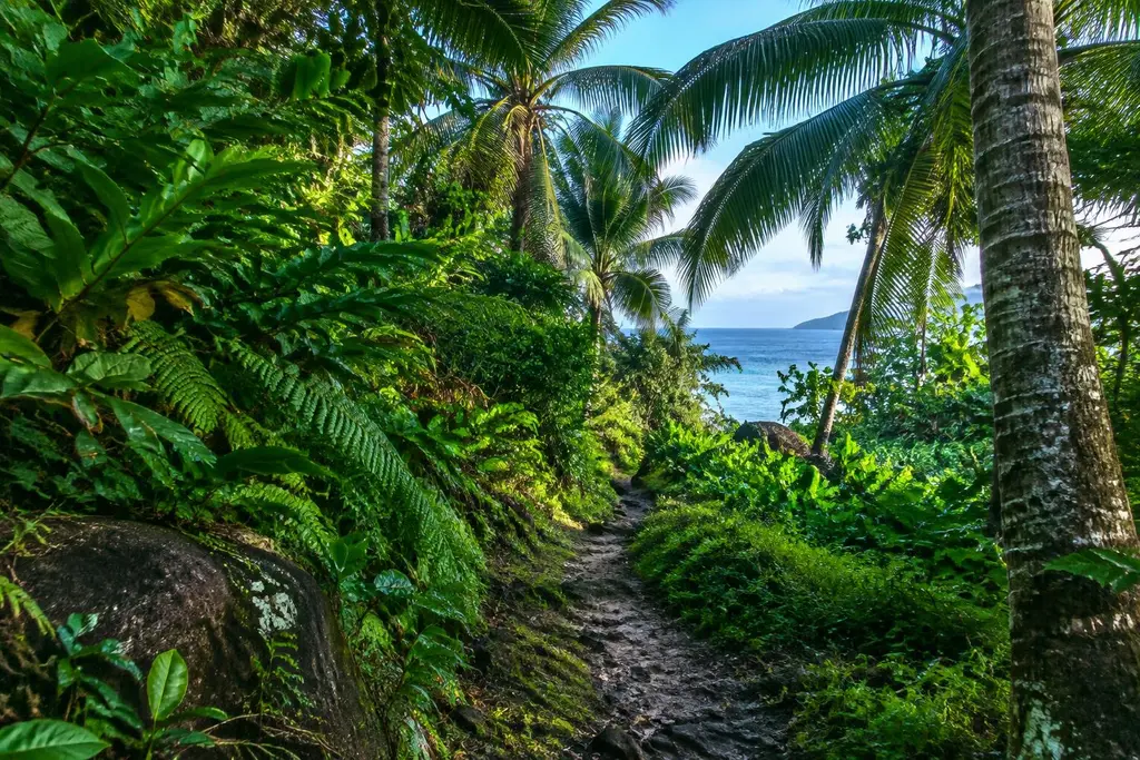 AI-generated illustration of Tropical island trails