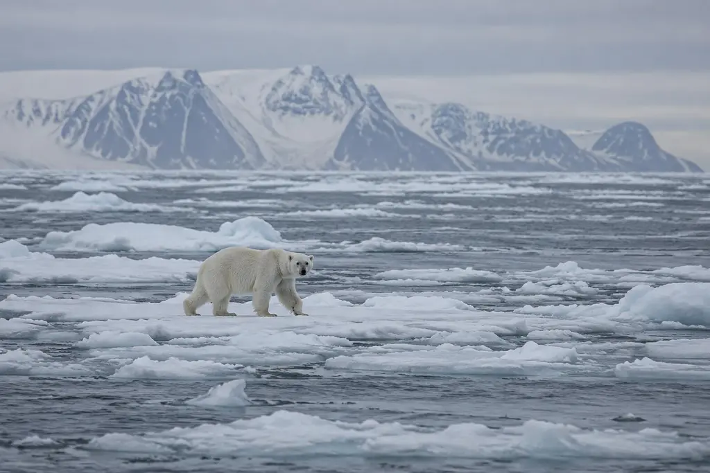 AI-generated illustration of Sea-ice exploration