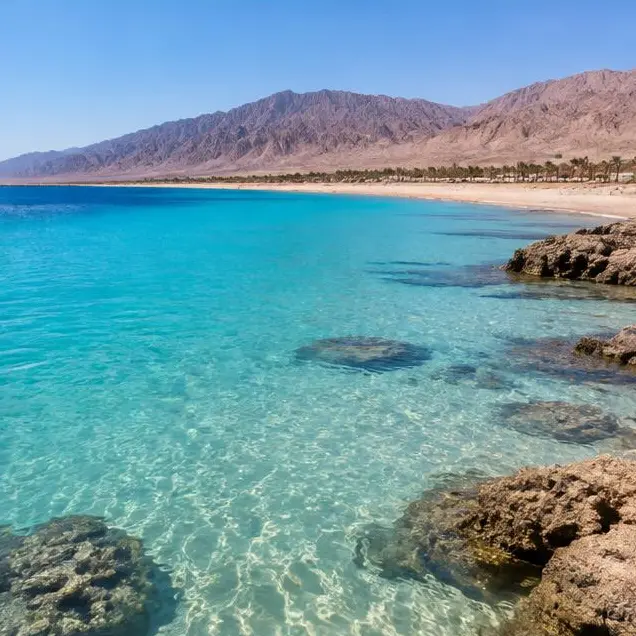 AI-generated illustration of Red Sea coastal bays