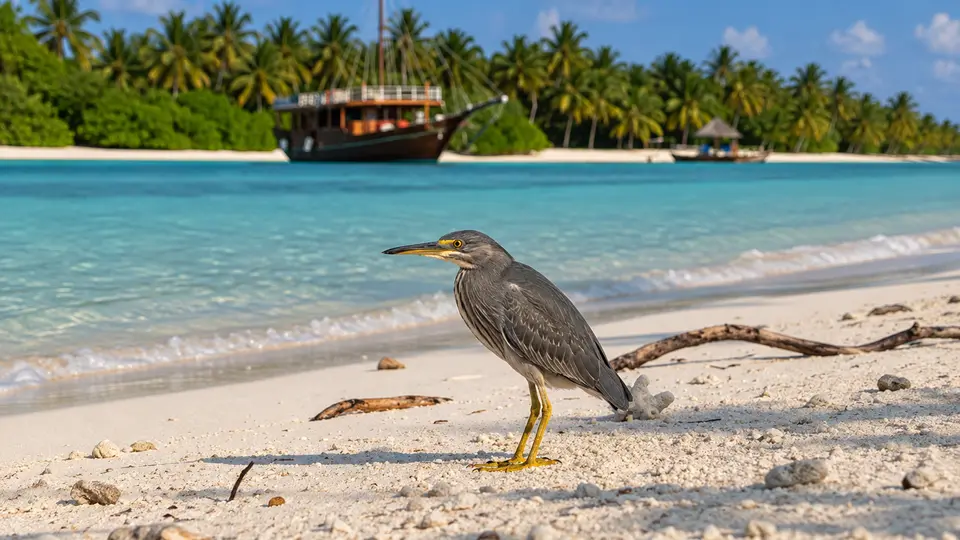 Striated Heron in its natural habitat, AI illustration