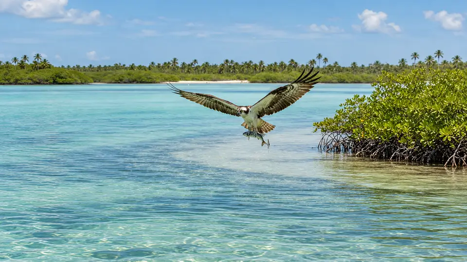 AI-generated illustration of Osprey