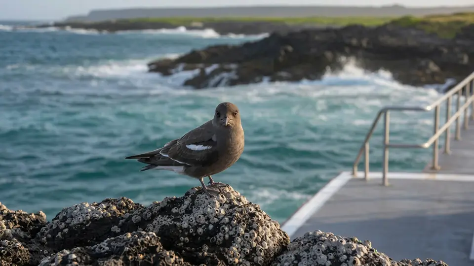 Elliot's Storm Petrel in its natural habitat, AI illustration