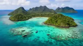 Alor sukellussafari