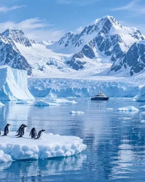 Antarctica wildlife habitat