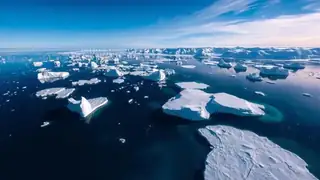 Antarctica Liveaboard Diving