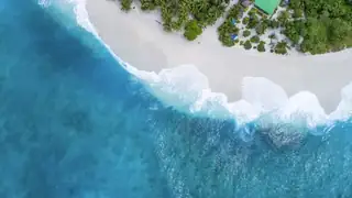 Belize crociera subacquea