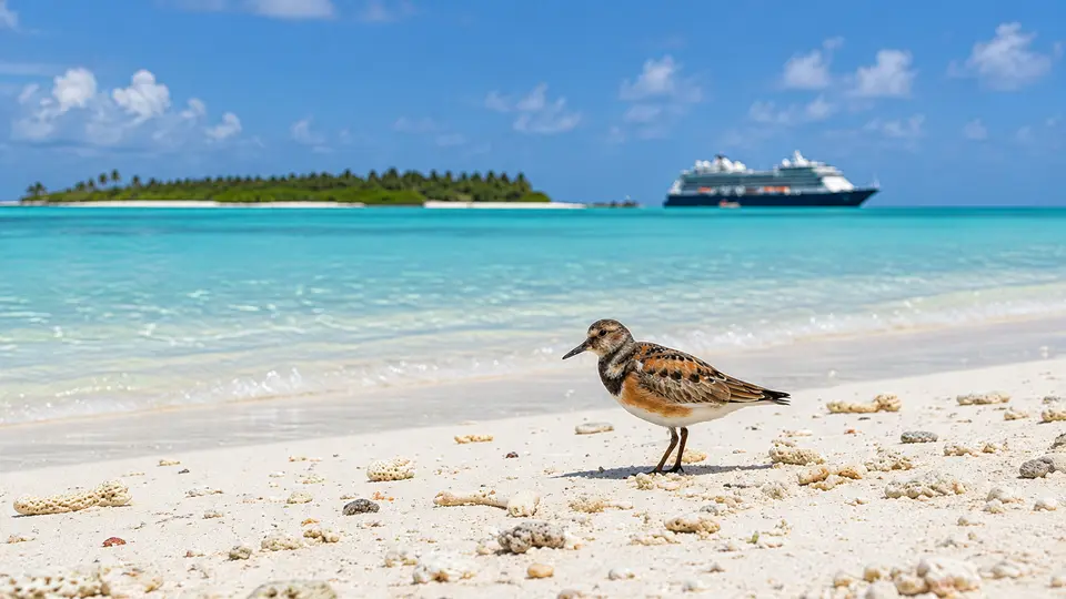Ruddy turnstone in its natural habitat, AI illustration