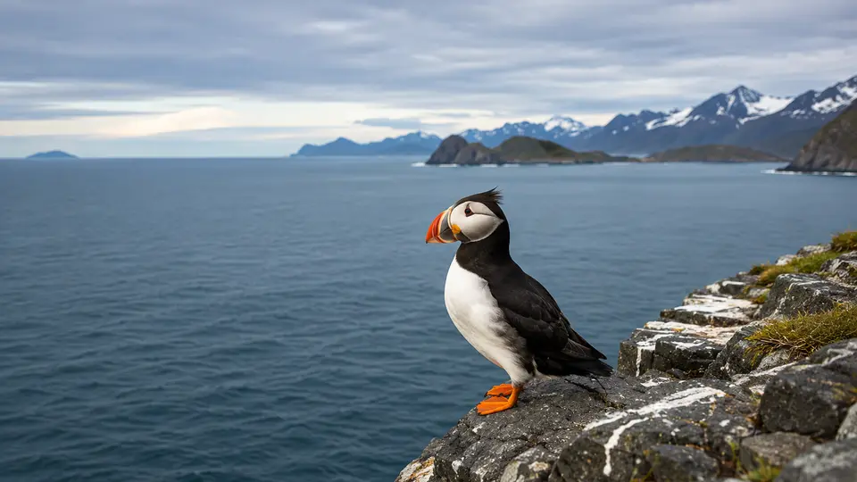 Horned Puffin in its natural habitat, AI illustration