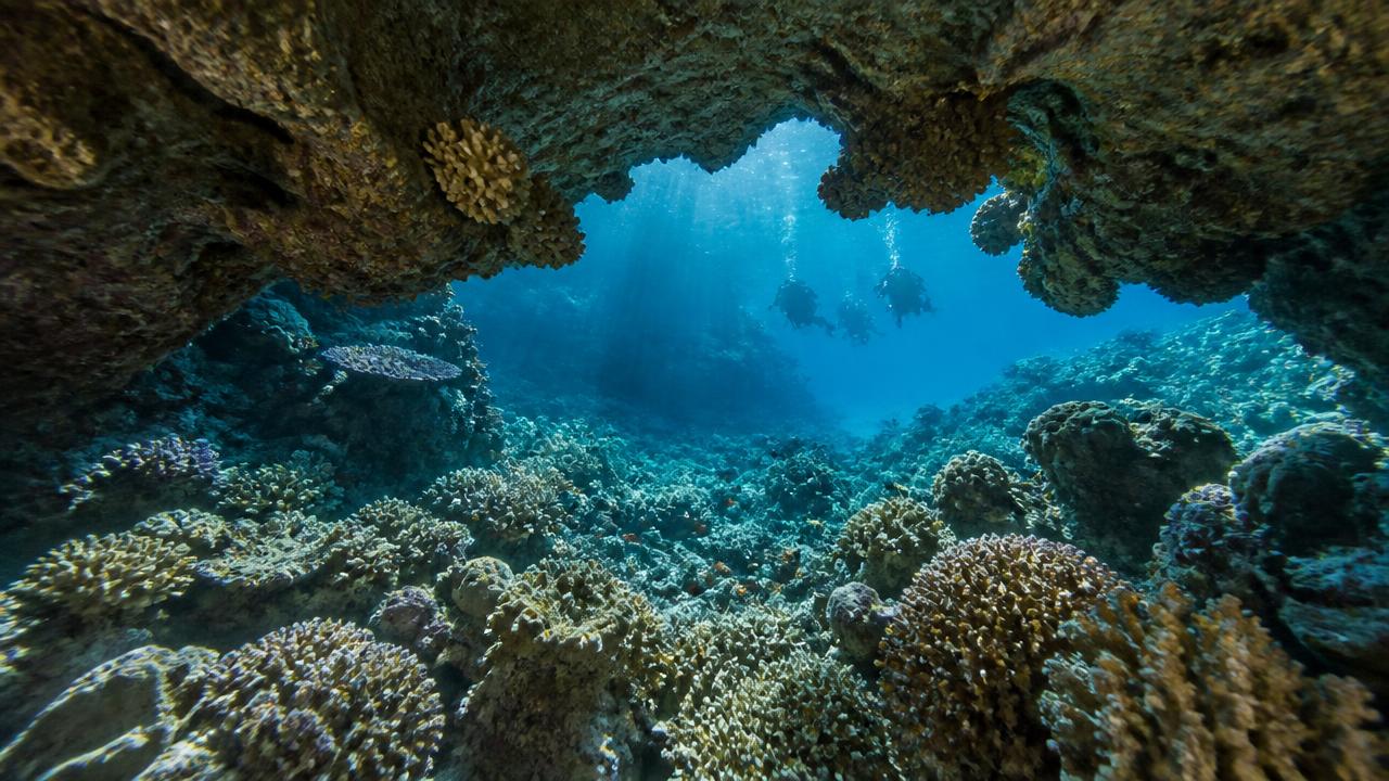 Deep South Red Sea — Sukellussafarit