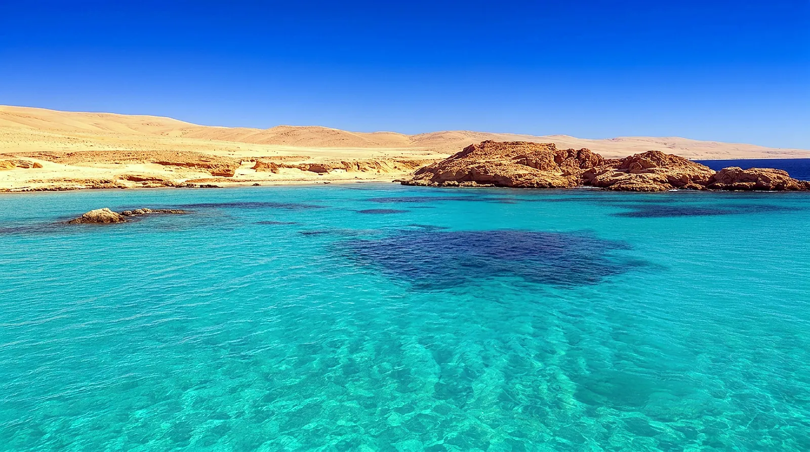 Egypt (Red Sea) Liveaboard Diving