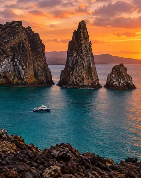 Galapagos wildlife habitat