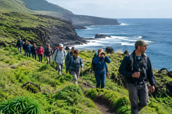 Language & group size