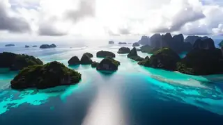 Indonesia Liveaboard Diving