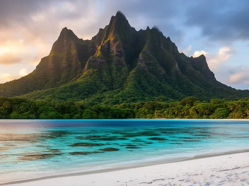 French Polynesia Liveaboard Diving