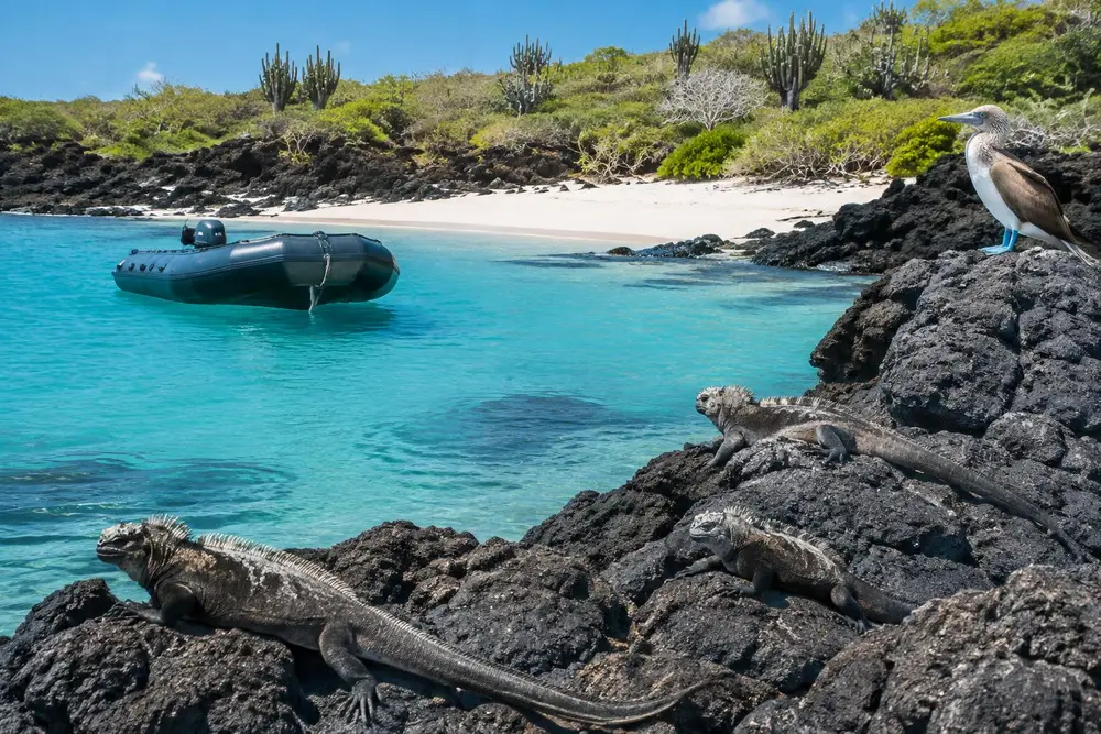 AI-generated illustration of a Galápagos wet landing: a panga boat at a white sandy beach, marine iguanas on black lava and a blue-footed booby watching