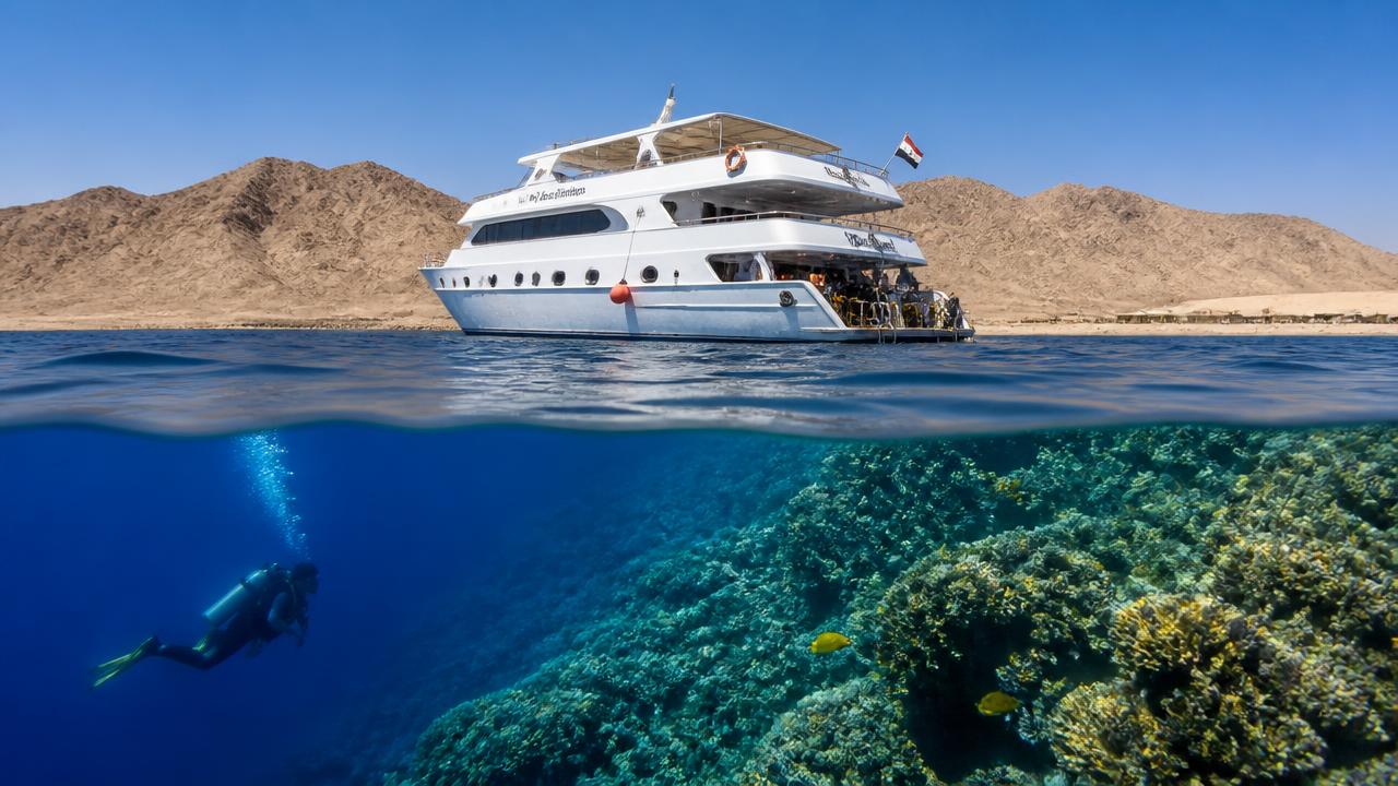 Red Sea — Sukellussafarit