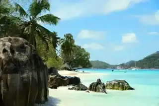 Seychelles crociera subacquea