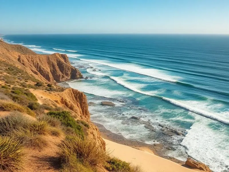 False Bay & Gansbaai, Afrique du Sud — Comment et où plonger avec les orques (épaulards)