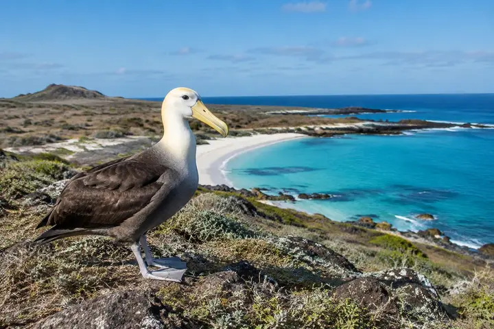 AI-generated illustration of Southern & eastern islands in Galápagos