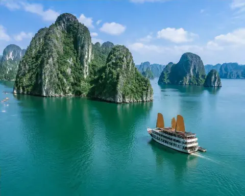 Vietnam wildlife habitat