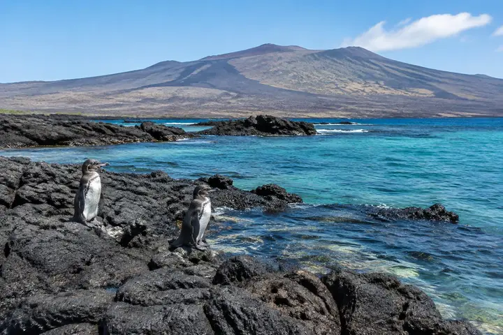 AI-generated illustration of Western islands in Galápagos