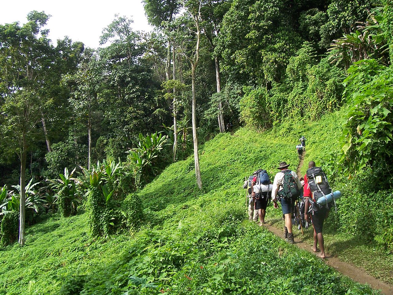 Caminhada na Trilha Kokoda