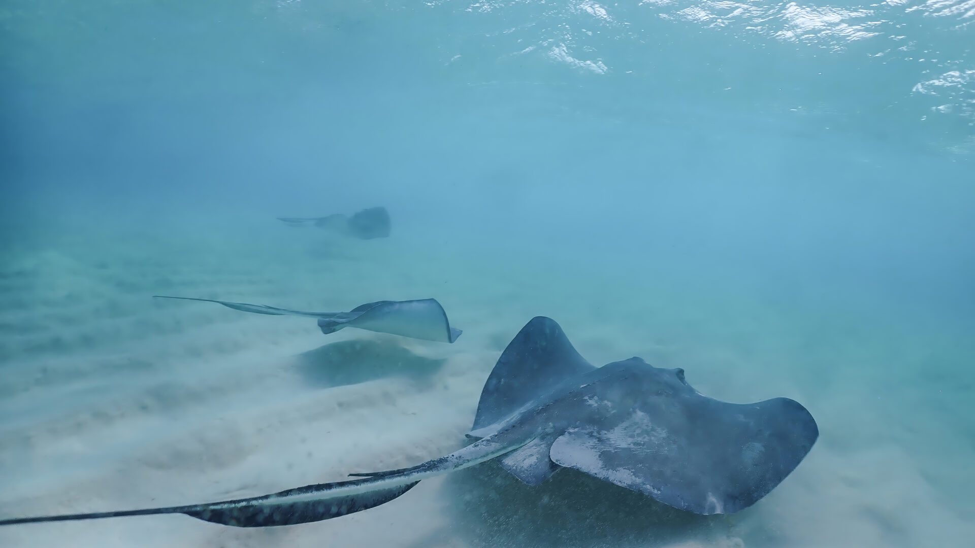 Cayman Islands