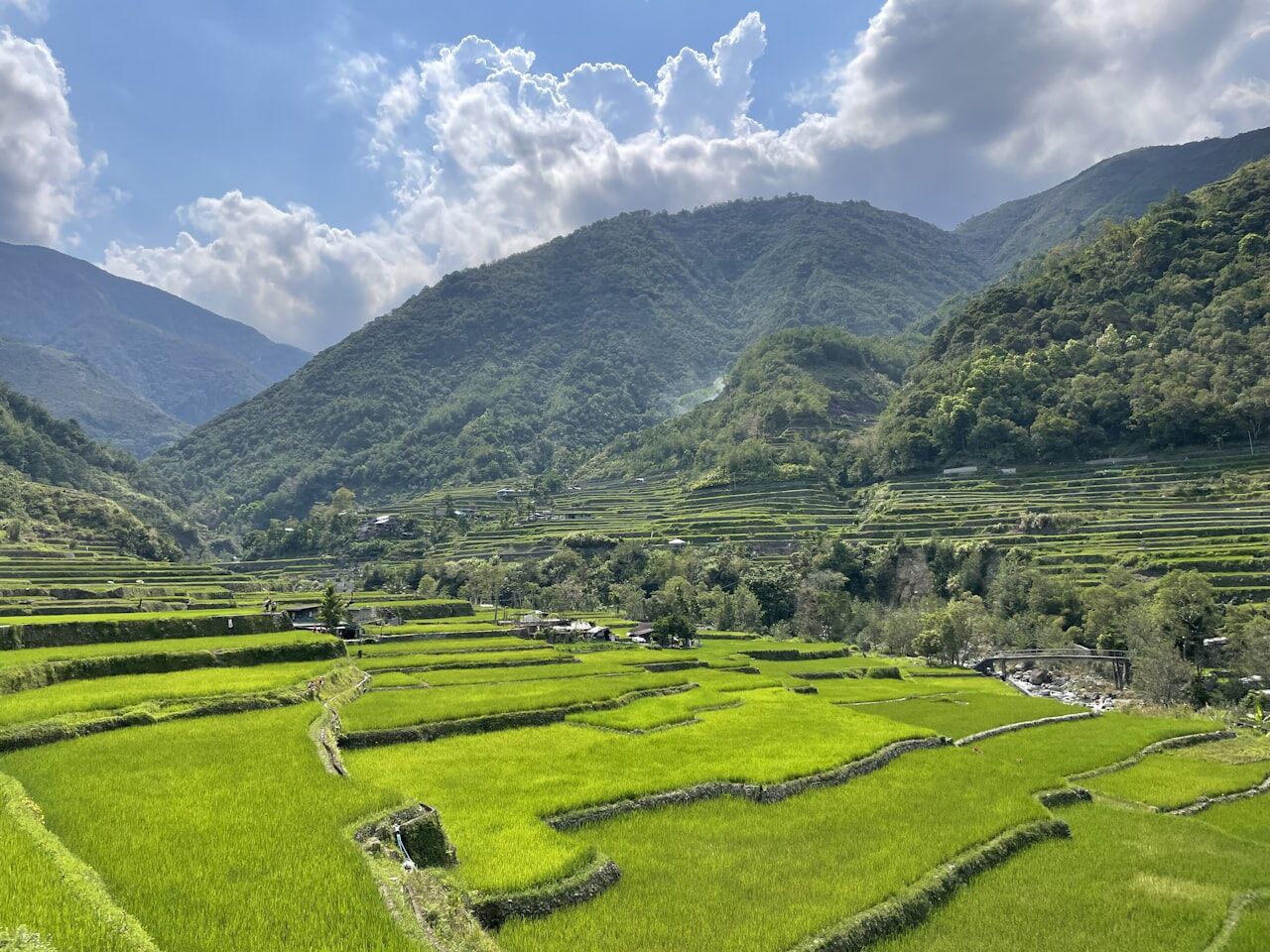 Banaueen riisiterassit
