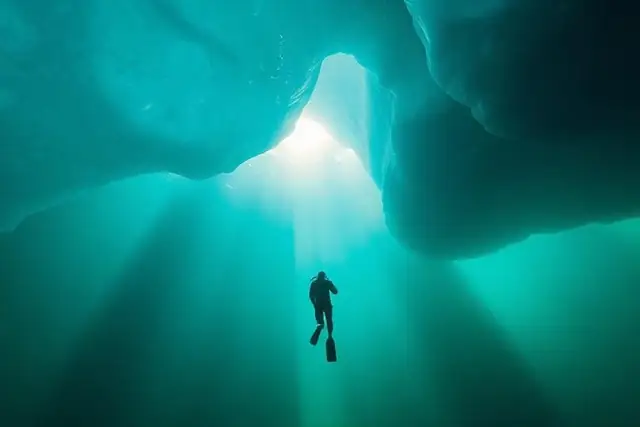 Buceo en las regiones polares